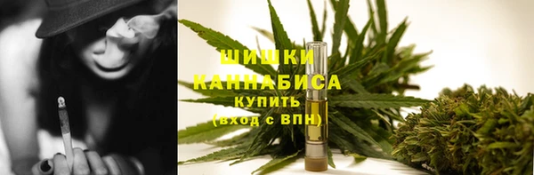 дмт Абаза
